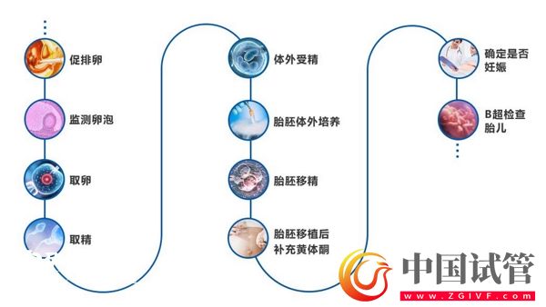 资阳大概需要多少钱做第三代试管婴儿，医院有哪些？(图1)