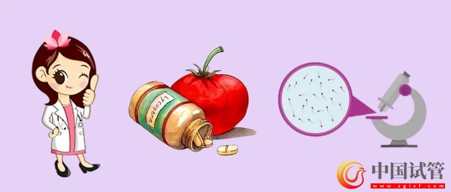 提高精子质量，吃番茄红素真的有用吗？(图1)