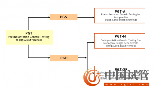 什么是PGT、PGS和PGD？(图4)