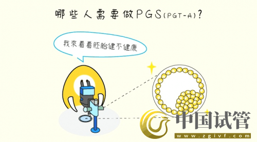 什么是PGT、PGS和PGD？(图5)