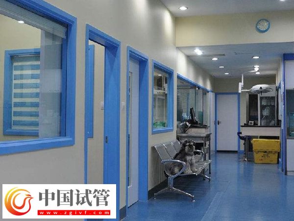 萍乡供卵试管婴儿现状分析,内附医院及价格介绍(图2) 萍乡供卵试管婴儿现状分析,内附医院及价格介绍(图2)