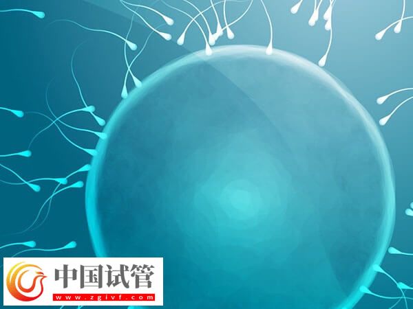 49岁高龄做试管婴儿易生化，染色体异常是主要原因(图1)
