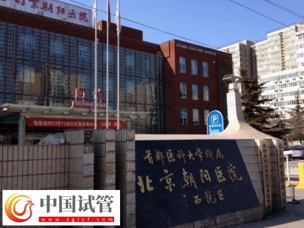 北京朝阳医院试管婴儿收费详解，生双胎仅需这个数...(图1)