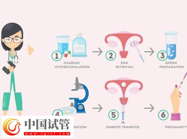 北京协和试管婴儿全过程(图1)