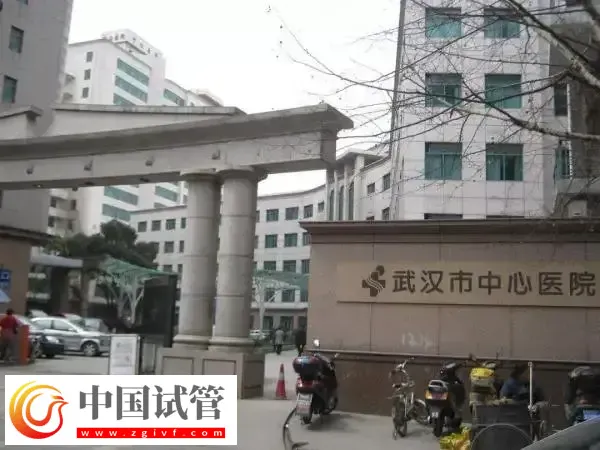 武汉市中心医院人工授精多少钱(图1)