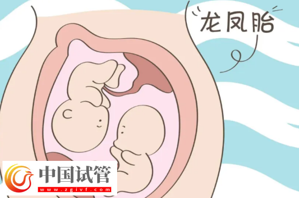 150斤的体重可以做试管婴儿怀龙凤双胎吗？(图1)