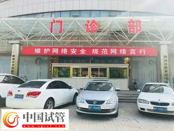 聊城市人民医院试管婴儿成功率多少(图1)