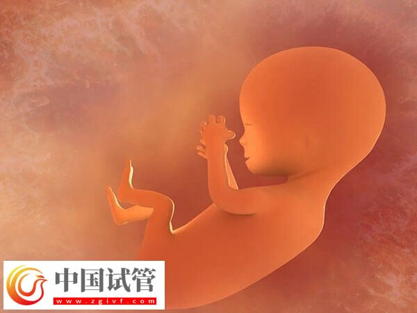 乌海妇幼保健院做试管婴儿哪个医生好？附三大专家简介(图1)