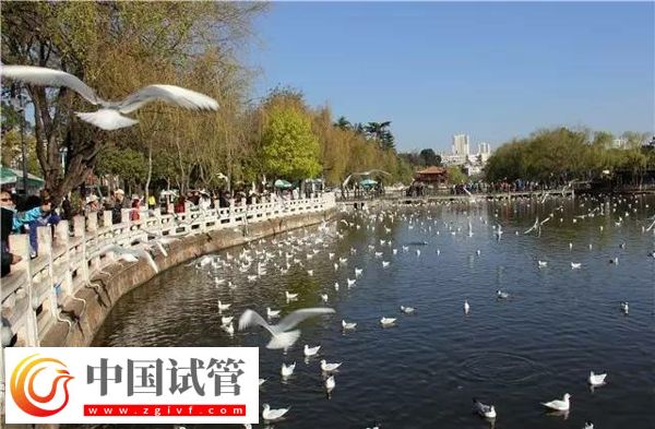 带你了解昆明私立妇产医院，试管技术和口碑好不好看这里(图1)