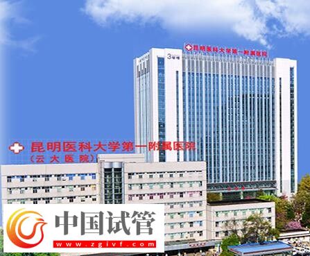 红河有没有做二代试管婴儿的医院？(图10)