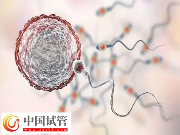 囊胚移植后第八天恶心想吐的原因是什么(图1)