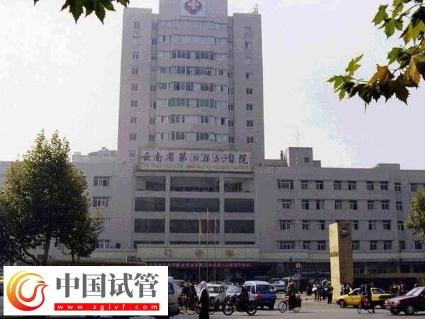 昆明供卵试管婴儿机构有哪些(图1)