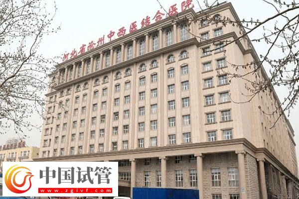 沧州高龄试管婴儿成功率高不高(图1)