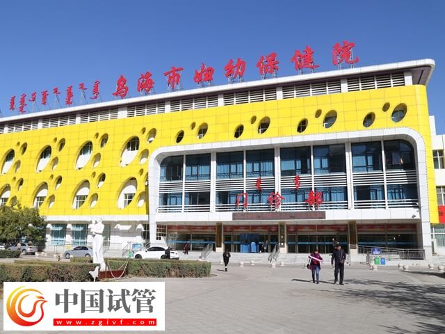乌海哪家医院能做三代试管(图1)