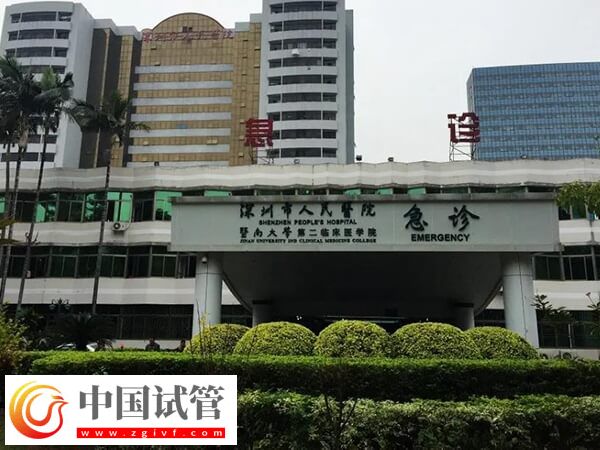 深圳试管婴儿机构大盘点，成功率高达55%的有这3家！(图2)