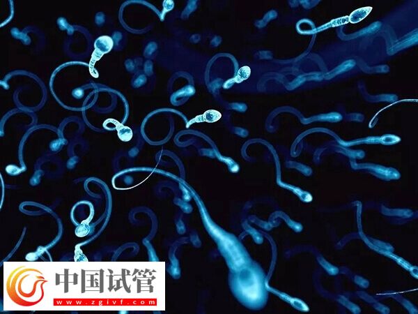 锦州供精人授医院哪家好(图1)