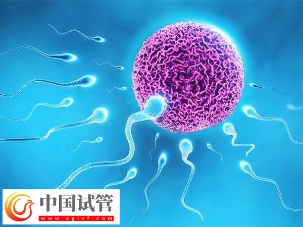 包头供卵助孕有什么条件(图1)