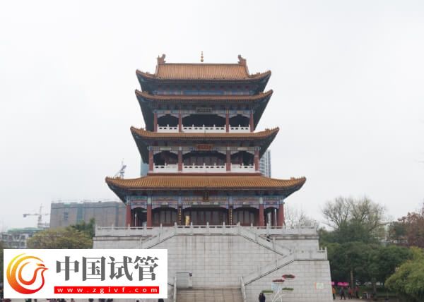 宜春试管婴儿医院有哪些(图1)