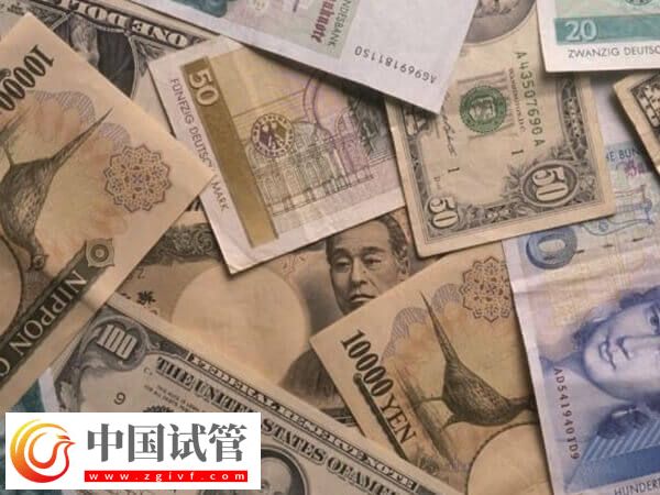 自然周期取卵的费用多少(图1)