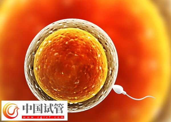 河南省人民医院生殖中心胚胎保存费(图1)