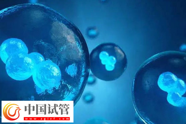 前往柬埔寨冻卵的价格(图2)