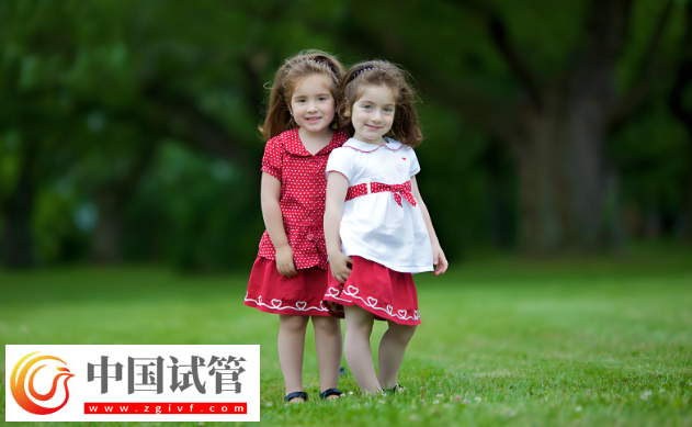 大连试管婴儿费用解析：双胞胎与单胞胎的差异！(图1)