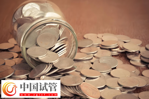 大连试管婴儿费用解析：双胞胎与单胞胎的差异！(图2)