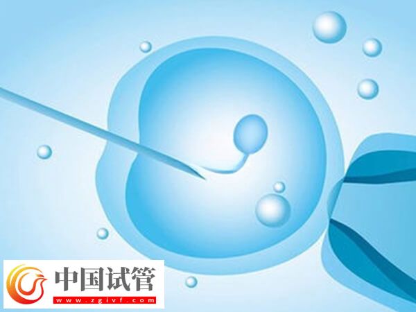 29岁做试管成功率多高(图1)