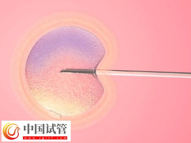 为什么子宫大不能移植胚胎(图1)