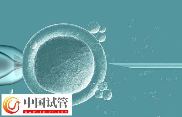 27岁试管婴儿成功率有多少(图2)