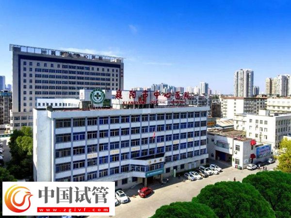 襄阳市中心医院试管男还是女多(图1)