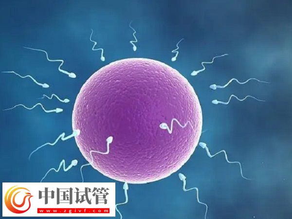 实施试管怀孕4个月稳不稳定(图2)