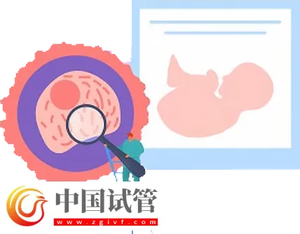 北京试管助孕大概要多少钱？这是2024最新收费标准(图2)