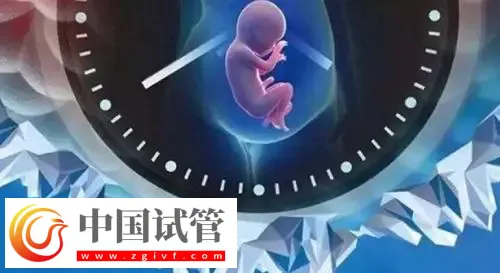 重庆助孕机构名单汇总，附联系方式与三代包生男孩费用清单(图1)