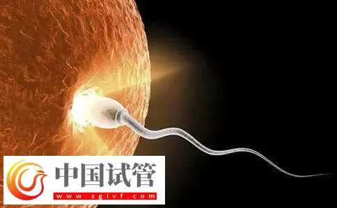 重庆助孕机构名单汇总，附联系方式与三代包生男孩费用清单(图3)