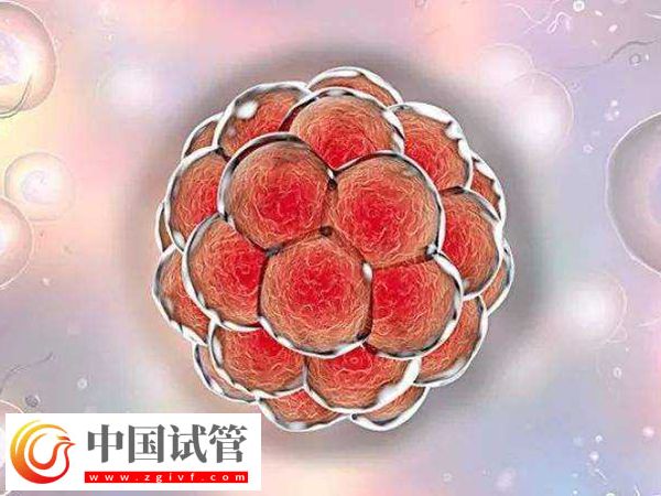 马来西亚做试管多少钱(图2)