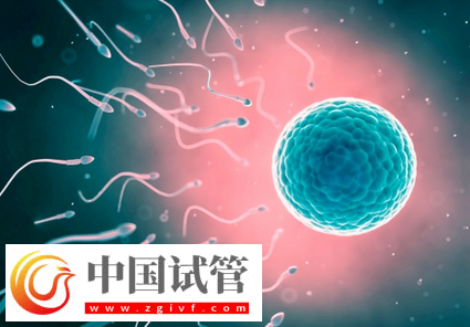 试管婴儿取卵后怎么有效保养卵巢(图1)