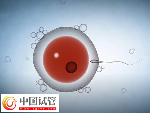 美国试管婴儿促排取卵是什么感受(图1)
