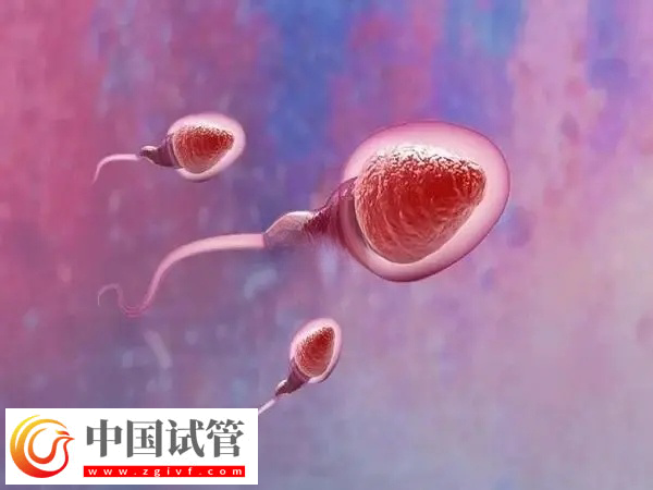 试管婴儿是不是从试管中出来的(图1)