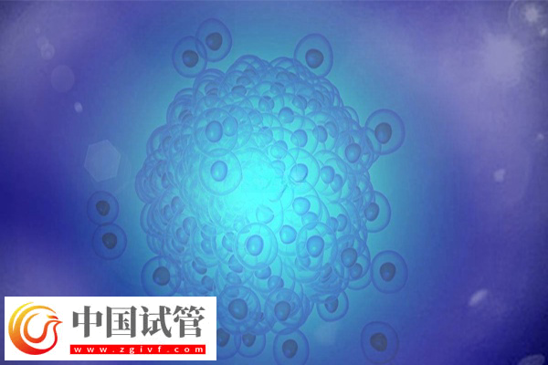 试管婴儿是不是从试管中出来的(图2)