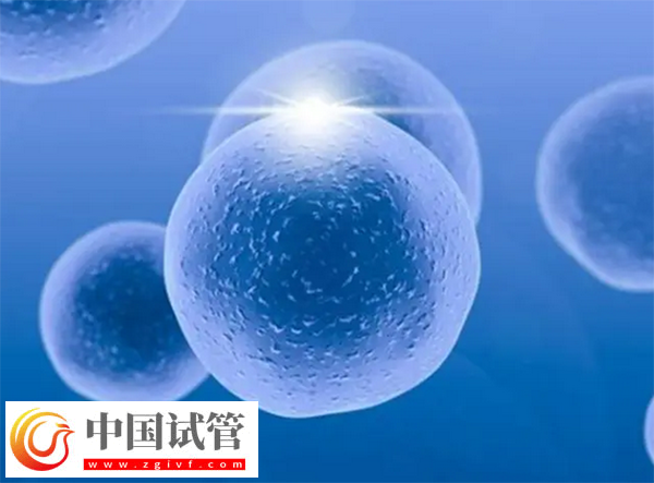 北京试管医院有哪些(图1)