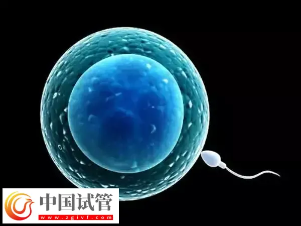 北京试管医院有哪些(图4)
