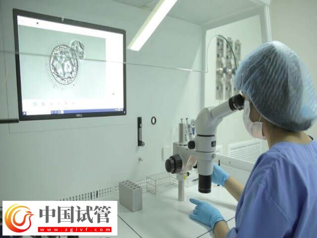 试管移植优胚为什么会出现空囊(图1)
