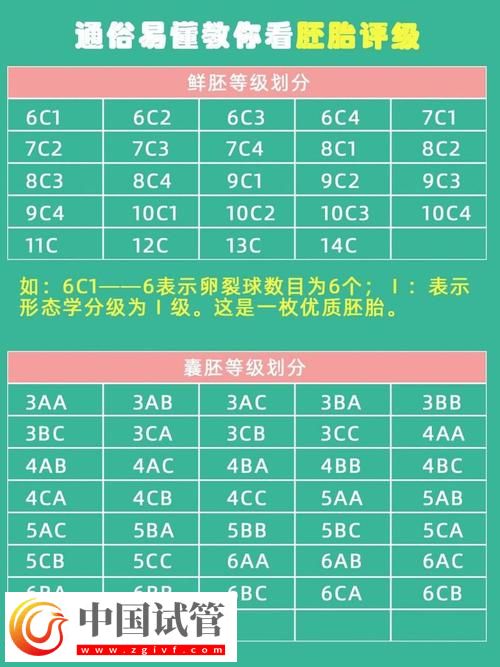 试管婴儿寄存的合理期限探讨(图1) 试管婴儿寄存的合理期限探讨(图1)