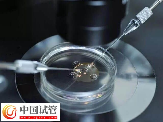 囊胚第9天试纸多深正常(图1)