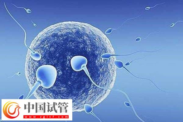 囊胚第9天试纸多深正常(图2)