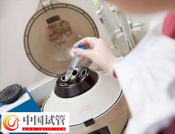 D6胚胎的质量好还是D5的好(图1)