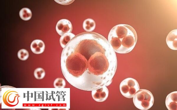 为什么打了促排针卵泡还长这么慢(图2)