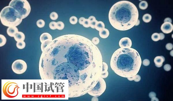 精子活力低做试管怎么办(图1)