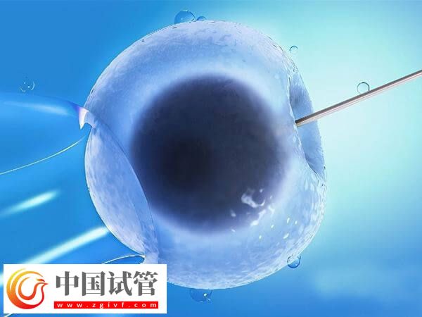移植鲜胚后多久着床(图2)